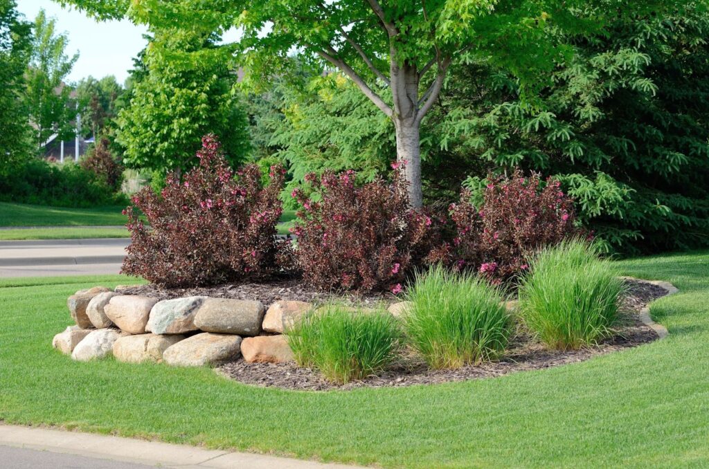 A landscaped garden with a tree, purple shrubs, and ornamental grasses, surrounded by large rocks and a well-maintained lawn.
