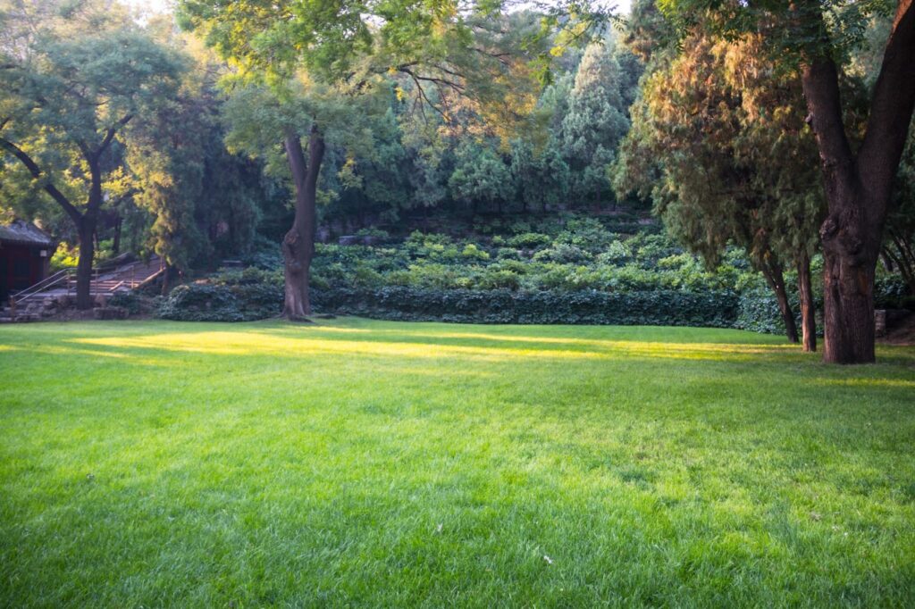 A vibrant green field with scattered trees and bushes, creating a serene natural landscape.