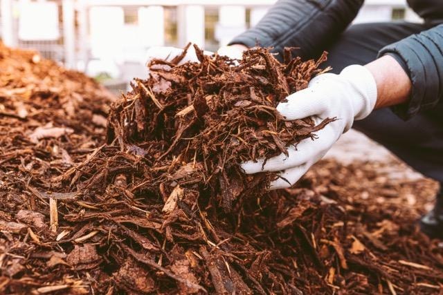 A person is holding a thick pile of mulch intended for use in a garden or outdoor space