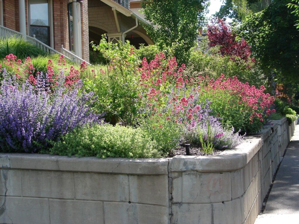 A picturesque flower garden nestled in a residential area featuring an array of colorful flowers and lush plants