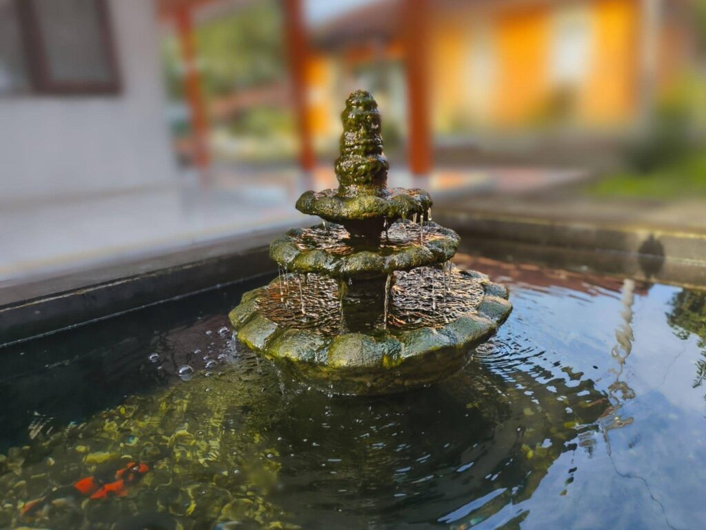 A tranquil pond scene with a fountain and a goldfish gliding beneath it
