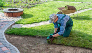 4-reasons-why-you-should-leave-landscape-installation-to-the-professionals