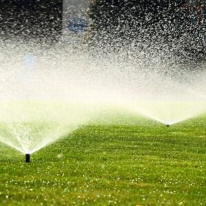 Automatic Water Sprinkler