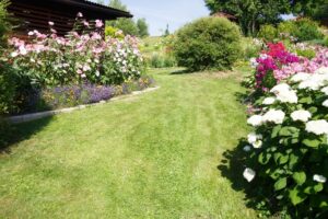 Basics-on-Standard-Landscaping-Phases