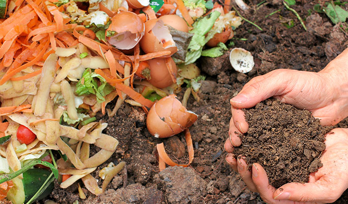Compost-for-Gardens-Everything-You-Need-to-Know