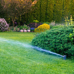 Does-a-Home-Sprinkler-System-Increase-Its-Value-e1644963752787