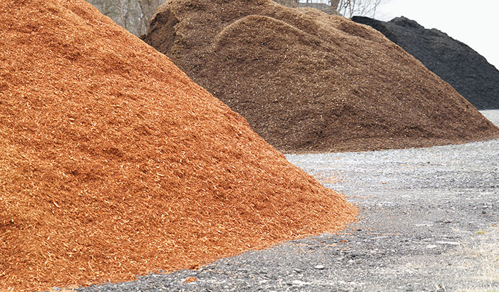 Everything-You-Need-to-Know-About-Mulch