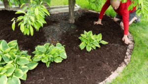How-Does-Landscaping-Improve-My-Homes-Value_