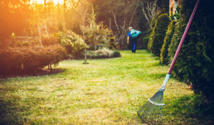 How-to-Prepare-Your-Garden-For-Summertime