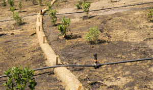 Signs-Your-Home-Needs-Erosion-Control