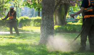 Top-Fall-Lawn-Care-Tips-to-Prepare-for-Utahs-Winter