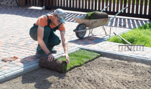 What-to-Expect-With-Your-Landscape-Installation