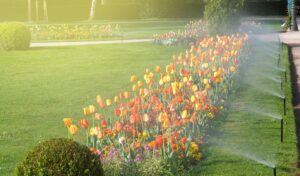 When-Should-a-Sprinkler-System-be-Installed