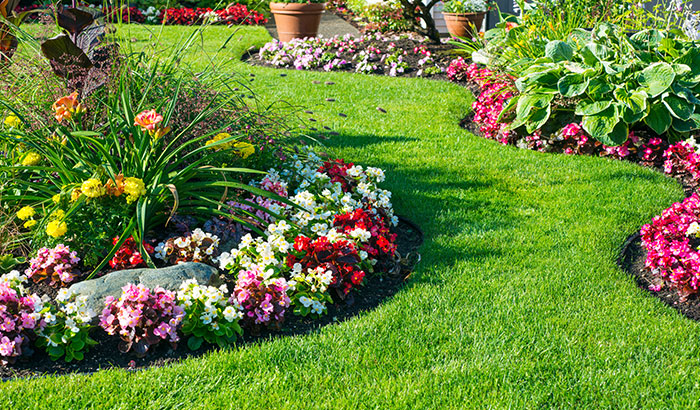 how-to-prepare-your-garden-for-springtime