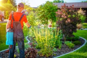 identifying-limiting-pests-landscaping
