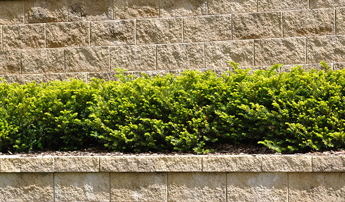 pros-and-cons-of-retaining-walls-you-hadnt-thought-of