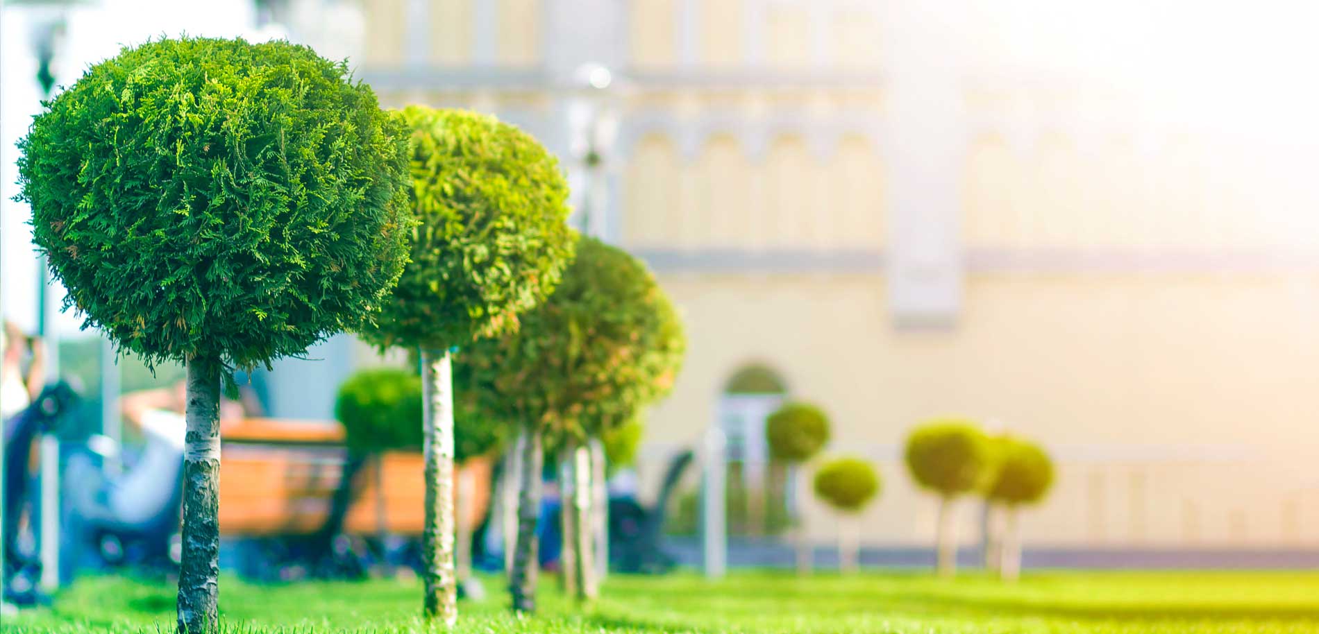 Utah Evergreen Tree Farm and Nursery LaytonScape
