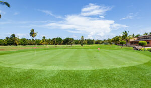 What to Expect With Your Backyard Putting Green Installation