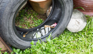 Standing Water? Here's How a Water Drainage System Will Help
