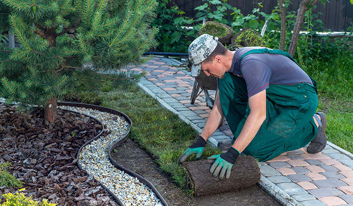Your Total Guide to Landscape Installation