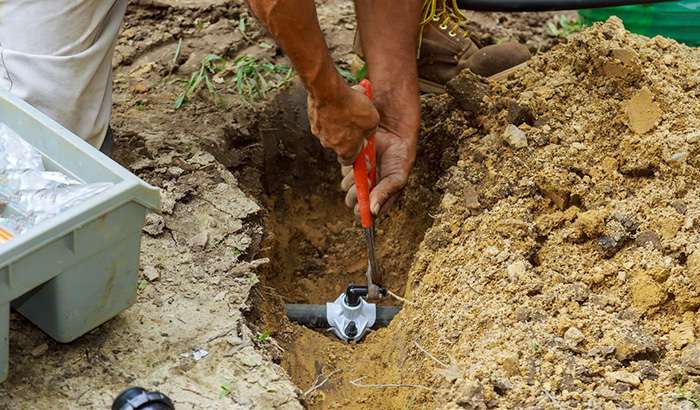 A photo of a sprinkler system being installed, with sprinklers being placed in the ground