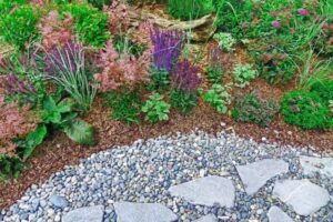 A landscaped garden with gravel paths and a cluster of plants in the center
