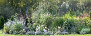 A vibrant garden filled with a variety of colorful flowers in full bloom showcasing diverse shapes and sizes